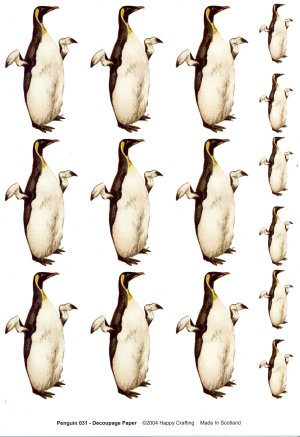 Multi Use Paper - Penguin